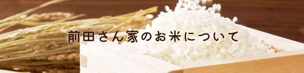 前田さん家のお米について